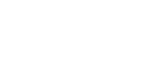 The Successful Lawyer